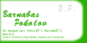 barnabas pokolov business card